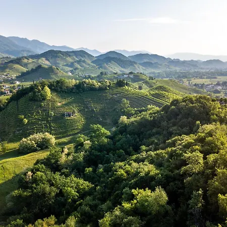 Al Capitello Vidor